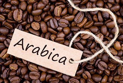 Che cos'è Arabica?